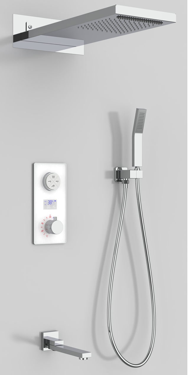 Four function shower set