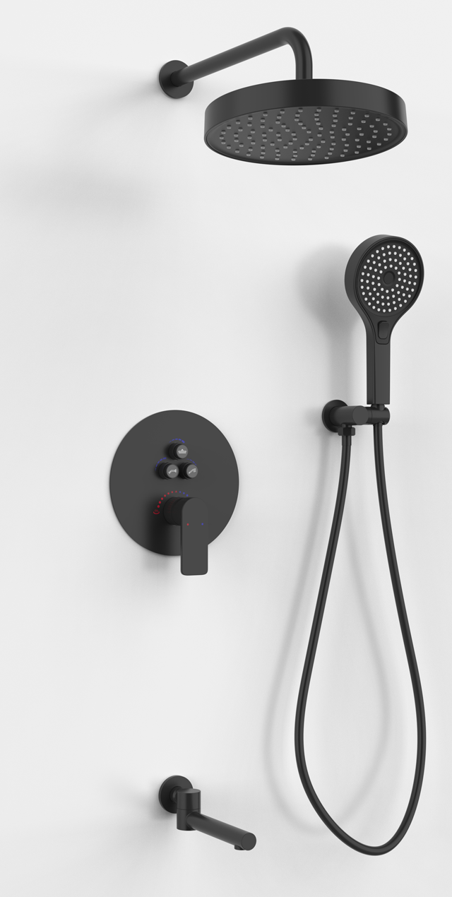 Three function shower set