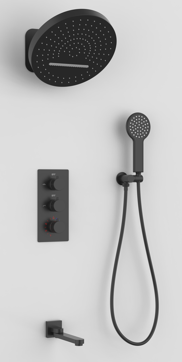 Four function shower set
